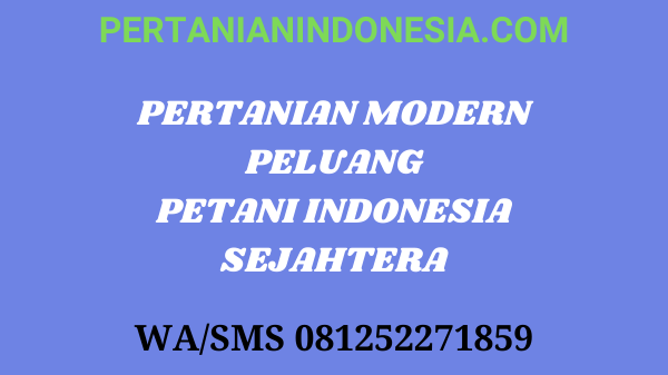 Pertanian Modern Peluang Petani Indonesia Sejahtera